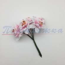 Цветок TRK-3016 25мм меланж (цв.тычинки) 1шт. Турция